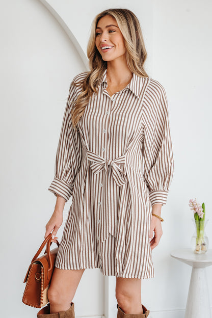 Women's Brown Stripe Puff Sleeve Summer Mini Dress