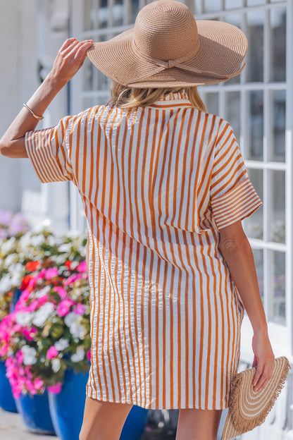 Women's Brown Stripe Pinched V Neck Summer Mini Dress