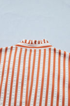 Brown Stripe Pinched V Neck Turn-up Cuffs Shift Mini Dress