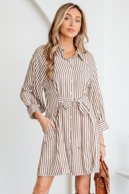 Women's Brown Stripe Puff Sleeve Summer Mini Dress