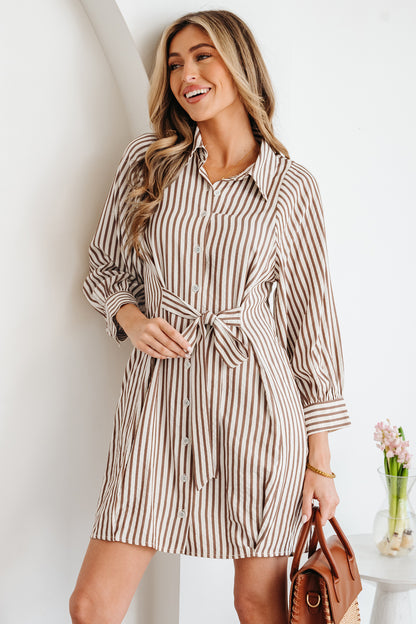 Women's Brown Stripe Puff Sleeve Summer Mini Dress